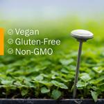 Herb Pharm Immune Boost Liquid Herbal Formula - 1oz