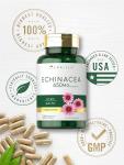 Carlyle Echinacea Capsules 120 Count | Non-GMO & Gluten Free