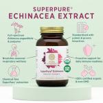 Organic Echinacea Capsules for Immune Support
