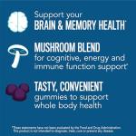 Brain Health & Memory Gummies with Mushroom Extract