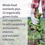 Garden of Life High Potency Zinc & Vitamin C