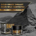 VENESUILA Shilajit Resin - Organic Shilajit Resin Third Party Tested Rich in 85+ Trace Minerals, Gold Grade Himalayan Pure Shiljait for Energy (1 Fl Oz (Pack of 1))