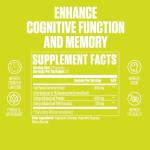 Ginko Biloba | #1 New Ginko Biloba Supplement Pills w/Max Absorption for Enhanced Cognitive Function, Memory, Mood & Focus + Rich in Antioxidants | Vegan Capsules for Men & Women - 60 Capsules