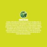 Ginko Biloba | #1 New Ginko Biloba Supplement Pills w/Max Absorption for Enhanced Cognitive Function, Memory, Mood & Focus + Rich in Antioxidants | Vegan Capsules for Men & Women - 60 Capsules