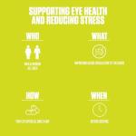 Ginko Biloba | #1 New Ginko Biloba Supplement Pills w/Max Absorption for Enhanced Cognitive Function, Memory, Mood & Focus + Rich in Antioxidants | Vegan Capsules for Men & Women - 60 Capsules