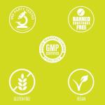 Ginko Biloba | #1 New Ginko Biloba Supplement Pills w/Max Absorption for Enhanced Cognitive Function, Memory, Mood & Focus + Rich in Antioxidants | Vegan Capsules for Men & Women - 60 Capsules