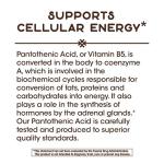 Nature's Way Pantothenic Acid 500mg, 100 Capsules - Cellular Energy Support