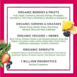Orgain Organic Greens Powder + 50 Superfoods, Berry