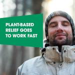 BHI Flu + Cold Relief with 11 Homeopathic Ingredients