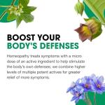 BHI Flu + Cold Relief with 11 Homeopathic Ingredients