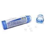 Boiron Influenzinum 12C for Post-Flu Symptoms - 80 Pellets