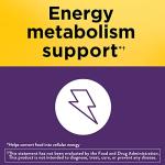 Nature Made Biotin Softgels 2500 mcg 240 Count