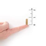 Prenatal Multivitamin capsules for Women with Probiotics & Iron