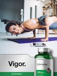 Echinacea Capsules 1300mg | 300 Count | Vegetarian