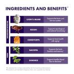 Host Defense MycoBotanicals Brain Support Capsules - 60 capsules