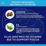 Brain Memory Supplement Gummies for Concentration and Focus