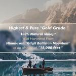 Shilajit Purest Himalayan Shilajit Resin - Gold Grade 100% Pure Shilajit with Fulvic Acid & 85+ Trace Minerals Complex for Energy & Immune Support, 30 Grams (2 Months Supply)