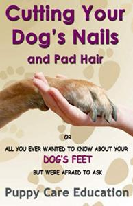 Dog Grooming Guide: Nail and Pad Hair Care