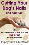 Dog Grooming Guide: Nail and Pad Hair Care
