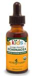 Certified-Organic Alcohol-Free Echinacea Glycerite Liquid Extract, 1oz