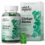 Wild & Organic Ginkgo Biloba Gummies - Brain Supplement & Mental Support Gummy for Better Mood & Focus - Energy Booster Herbal Supplements - Vegan Non-GMO - 120mg, 60 Chews