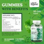 Wild & Organic Ginkgo Biloba Gummies - Brain Supplement & Mental Support Gummy for Better Mood & Focus - Energy Booster Herbal Supplements - Vegan Non-GMO - 120mg, 60 Chews
