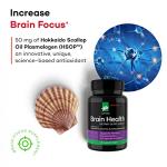 Daiwa Brain Health Supplement for Memory and Focus