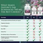 Nature's Lab Echinacea 760mg Capsules - Immune Support