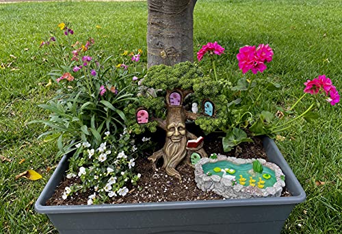 GlitZGlam Duck Pond -Mother and Ducklings! A Miniature Duck Pond for a Miniature Fairy Garden and Miniature Garden Accessories