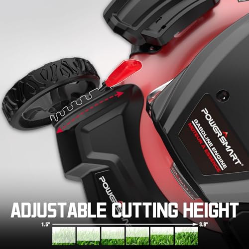 PowerSmart Gas Lawn Mower 21in. 144cc 2-in-1 Walk-Behind Push Lawn Mower, Oil Included