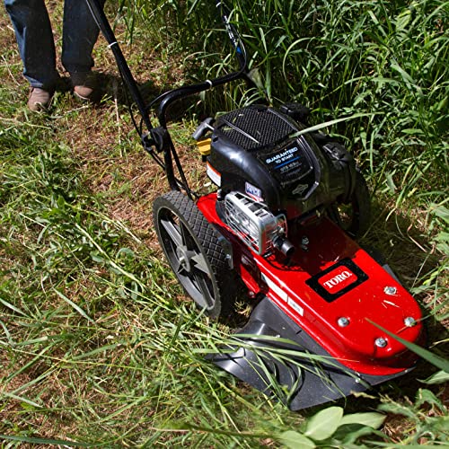 Toro Walk Behind String Mower, 163cc Briggs and Stratton 4-Cycle Engine, 22-Inch Cutting Diameter, Large 14" Wheels, Heavy Duty Replaceable Cutting Lines, 58620