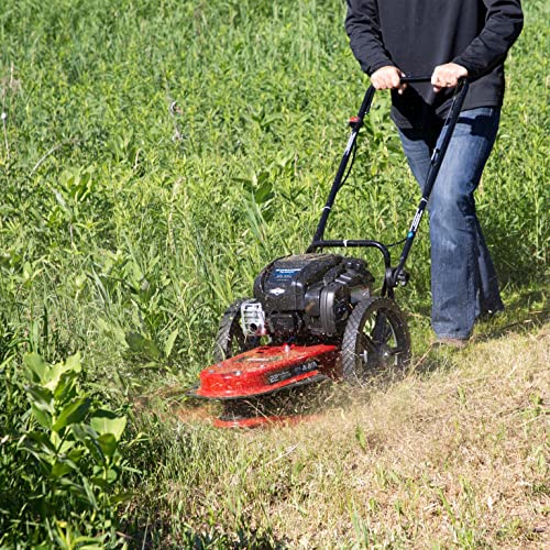 Toro Walk Behind String Mower, 163cc Briggs and Stratton 4-Cycle Engine, 22-Inch Cutting Diameter, Large 14" Wheels, Heavy Duty Replaceable Cutting Lines, 58620