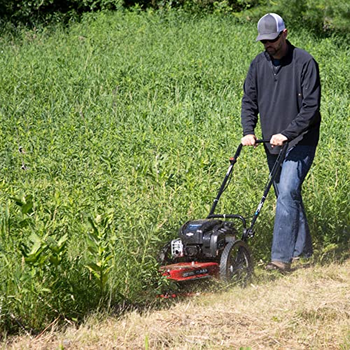 Toro Walk Behind String Mower, 163cc Briggs and Stratton 4-Cycle Engine, 22-Inch Cutting Diameter, Large 14" Wheels, Heavy Duty Replaceable Cutting Lines, 58620