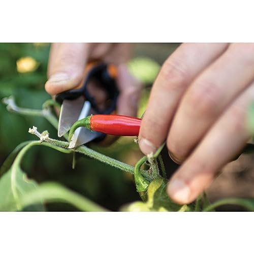Fiskars Garden Herb Snips - 5" Garden Shears with Sheath and SoftGrip Handle - Yard and Garden Tools - Orange/Black