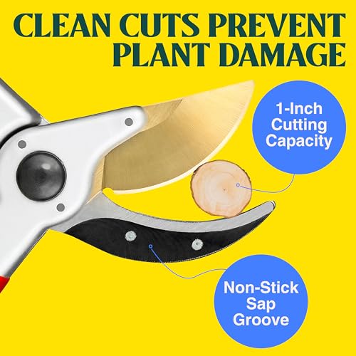 Haus & Garten ClassicPRO 8.5" Professional Premium Titanium Bypass Pruning Shears - Use As Pruners, Garden Shears, Heavy Duty Handheld Pruning Shears For Gardening, Clippers, Pruning Scissor Tool