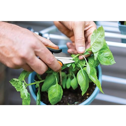 Fiskars Garden Herb Snips - 5" Garden Shears with Sheath and SoftGrip Handle - Yard and Garden Tools - Orange/Black