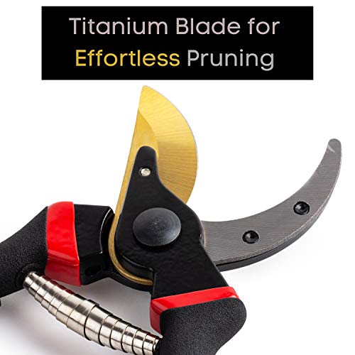 Mr. Pen- Pruning Shears, Garden Shears, 8" Professional, Titanium Blade, Garden Scissors, Gardening Shears, Garden Clippers, Bypass Pruners, Garden Shears Pruning, Pruning Scissors, Garden Tools
