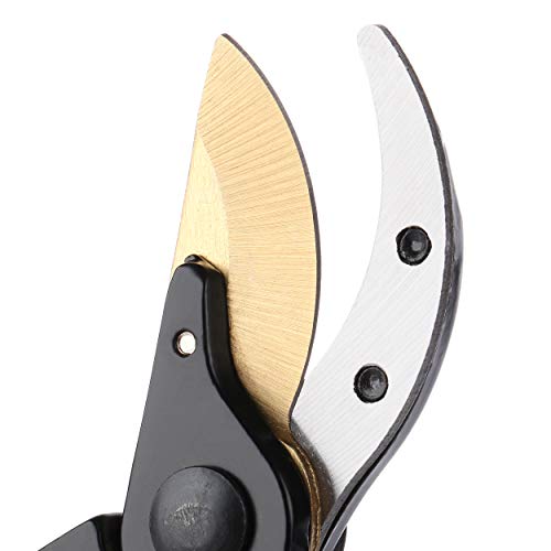 Mr. Pen- Pruning Shears, Garden Shears, 8" Professional, Titanium Blade, Garden Scissors, Gardening Shears, Garden Clippers, Bypass Pruners, Garden Shears Pruning, Pruning Scissors, Garden Tools