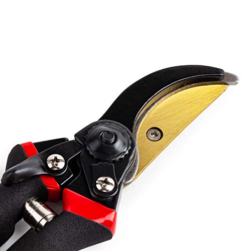 Mr. Pen- Pruning Shears, Garden Shears, 8" Professional, Titanium Blade, Garden Scissors, Gardening Shears, Garden Clippers, Bypass Pruners, Garden Shears Pruning, Pruning Scissors, Garden Tools