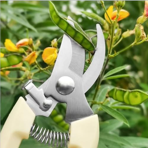 [2 Pack] Pruning Shears, Garden Shears, Professional Stainless Steel pruners with Comfort Handle & Spring-loaded, Handheld Garden Clippers, Gardening Tools Scissors Set for Rose Plants Flowers