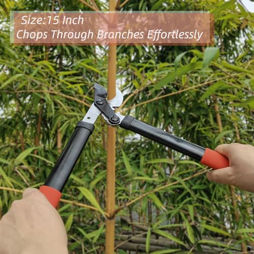 KLDOLLAR Loppers Tree Trimmer Branch Cutter with Powerful Gear Action, Super Pruner Tree Clippers Tree Pruner, Chops Thick Branches Ease, Sharp Steel Blade with 1.3 Inch Cutting Capacity(15 Inch)