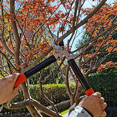 KLDOLLAR Loppers Tree Trimmer Branch Cutter with Powerful Gear Action, Super Pruner Tree Clippers Tree Pruner, Chops Thick Branches Ease, Sharp Steel Blade with 1.3 Inch Cutting Capacity(15 Inch)