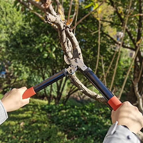 KLDOLLAR Loppers Tree Trimmer Branch Cutter with Powerful Gear Action, Super Pruner Tree Clippers Tree Pruner, Chops Thick Branches Ease, Sharp Steel Blade with 1.3 Inch Cutting Capacity(15 Inch)