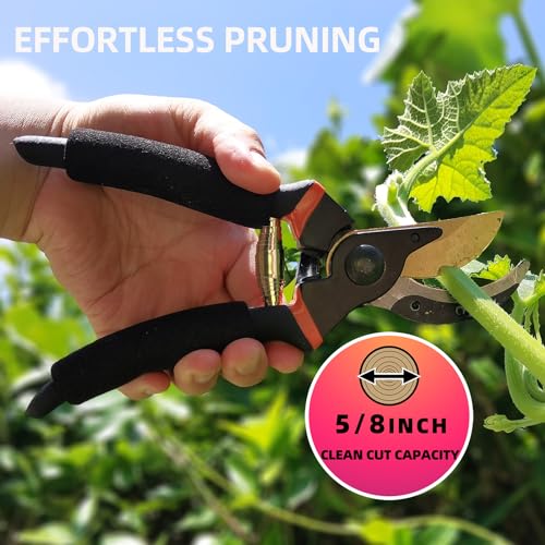 YRTSH Loppers Hedge Shears & Pruners Combo Set 3-Piece Hedge Clippers, Heavy Duty Tree & Shrub Care Kit for Yard, Lawn & Garden, Professional Branch Cutter Tree Trimmer for Indoor & Outdoor Gardening