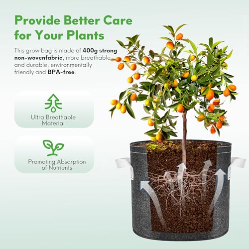 JERIA 10-Pack 5 Gallon Grow Bags, Thick Non-Woven Fabric Pots Planters with Multi-Purpose Rings for Low Stress Plant Training Outdoor Fruits, Vegetables,Flowers