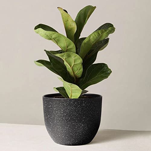 Giraffe Creation Plant Pots 12/10/9 inch Set of 3, Flower Pots Outdoor Indoor, Planters with Drainage Hole, Speckled Black