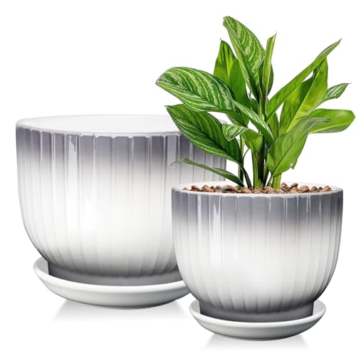 Ceramic Pots for Plants, 5.5+6.7 Pots for Indoor Plants with Drainage and Separable Saucer, Indoor Plant Pots, Gray White Ceramic Planter, Flower Pots Set of 2 (Gray + White, Plants NOT Included)