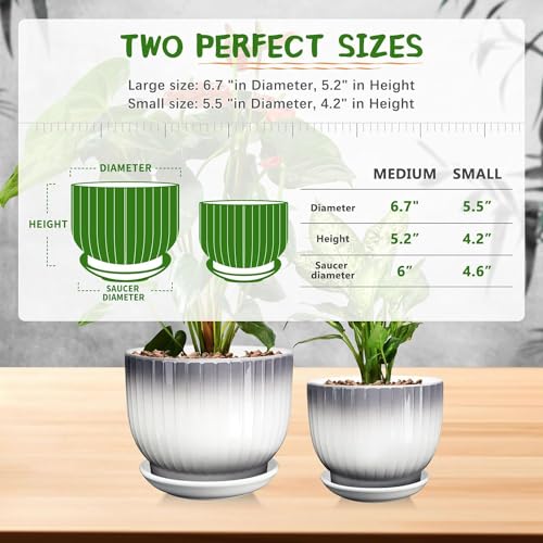 Ceramic Pots for Plants, 5.5+6.7 Pots for Indoor Plants with Drainage and Separable Saucer, Indoor Plant Pots, Gray White Ceramic Planter, Flower Pots Set of 2 （Gray + White, Plants NOT Included）