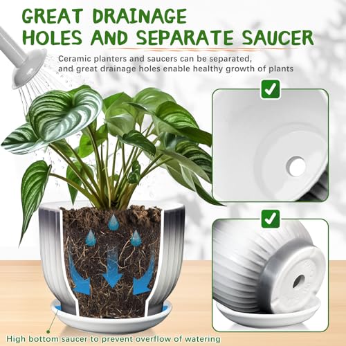 Ceramic Pots for Plants, 5.5+6.7 Pots for Indoor Plants with Drainage and Separable Saucer, Indoor Plant Pots, Gray White Ceramic Planter, Flower Pots Set of 2 （Gray + White, Plants NOT Included）