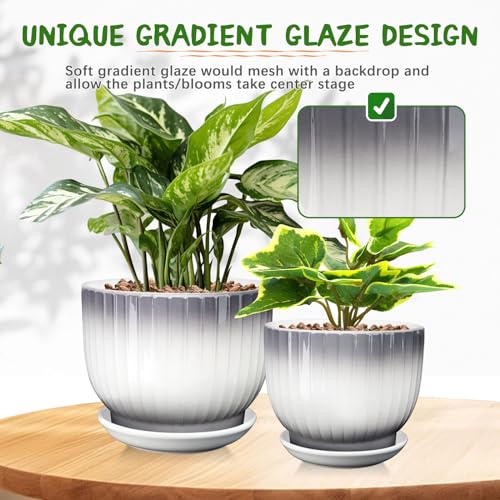 Ceramic Pots for Plants, 5.5+6.7 Pots for Indoor Plants with Drainage and Separable Saucer, Indoor Plant Pots, Gray White Ceramic Planter, Flower Pots Set of 2 （Gray + White, Plants NOT Included）